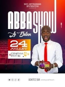 ABBA SHOW - Le Bilan