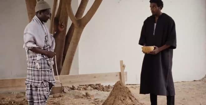 LA MEMOIRE DU MANGUIER